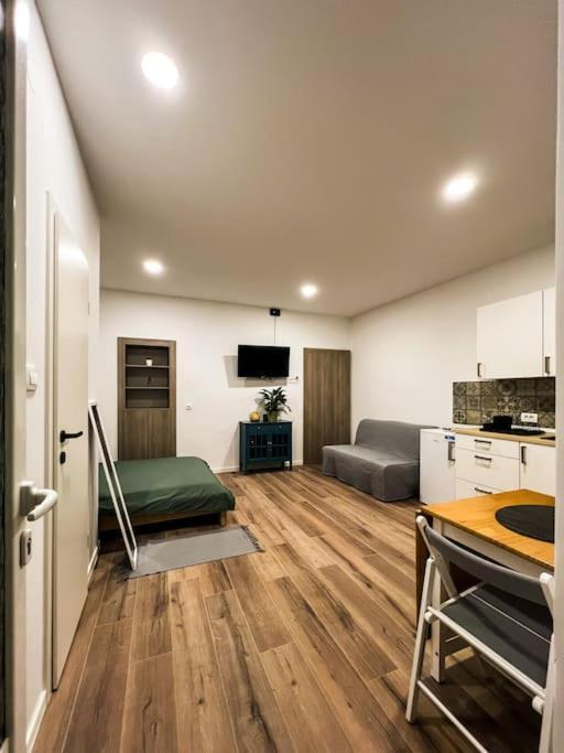 Studio Apartment Joanna Rijeka Extérieur photo